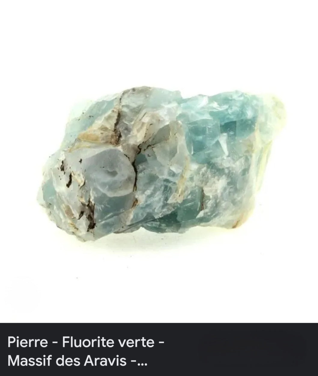 Grolle ou"Coupe de l’amitie" teintée de gris vert," turquoise et d’or patiné.                              LIVRAISON GRATUITE